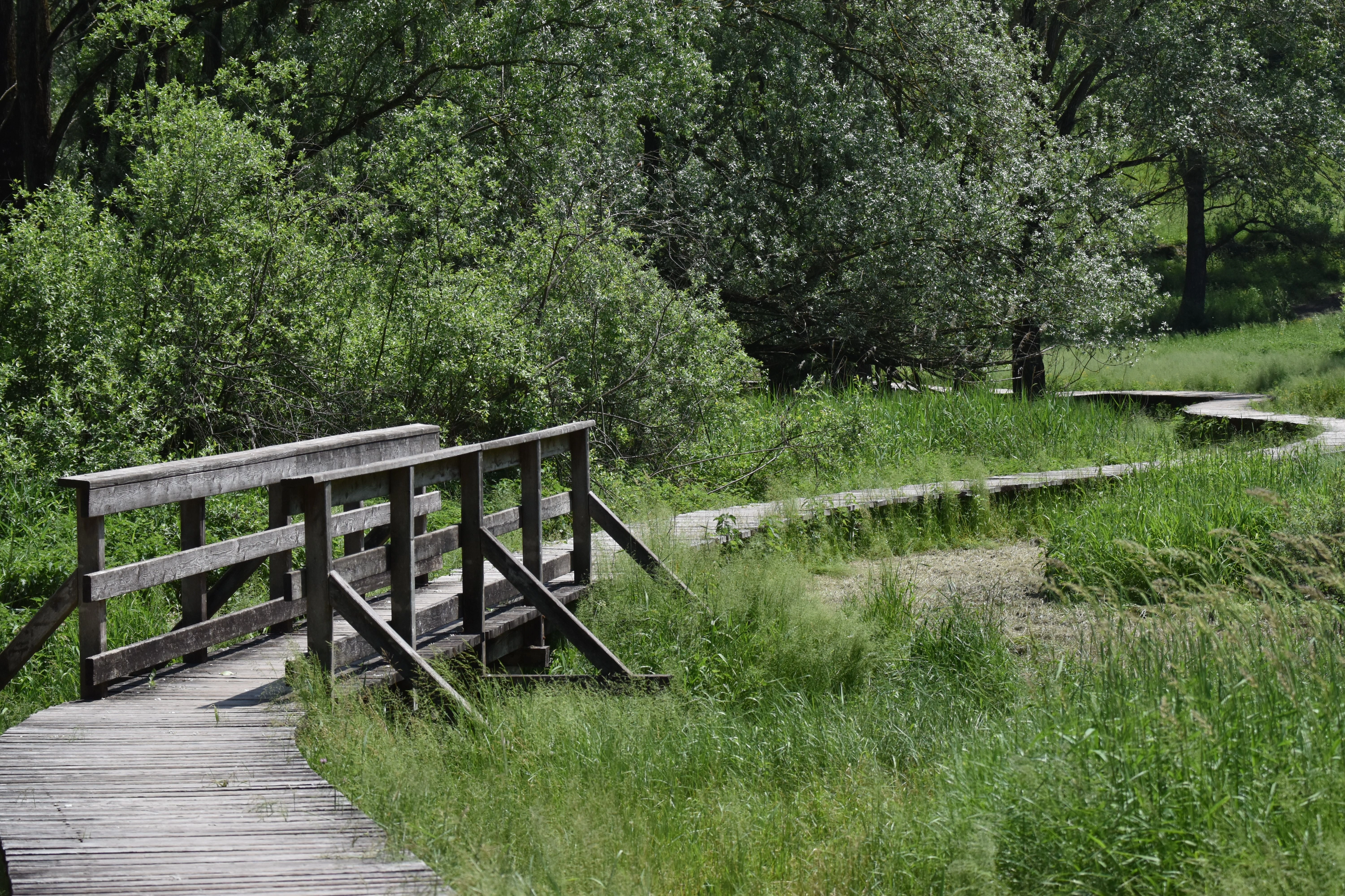 Exploring Fairview Park & Sherman Nature Trails